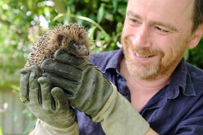 How to Bond with a Hissing, Huffing Hedgehog